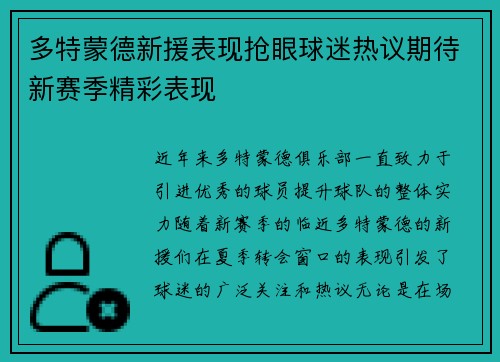 多特蒙德新援表现抢眼球迷热议期待新赛季精彩表现