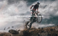 金年会官网-猛龙稳扎稳打力克篮网 不败金身延续显强队底蕴