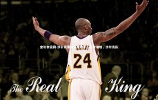 金年会官网-沙尔克客场不敌对手，积分难增，沙尔克队