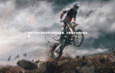 金年会官网-恩佐对切尔西至关重要，马雷斯卡战术的驱动器