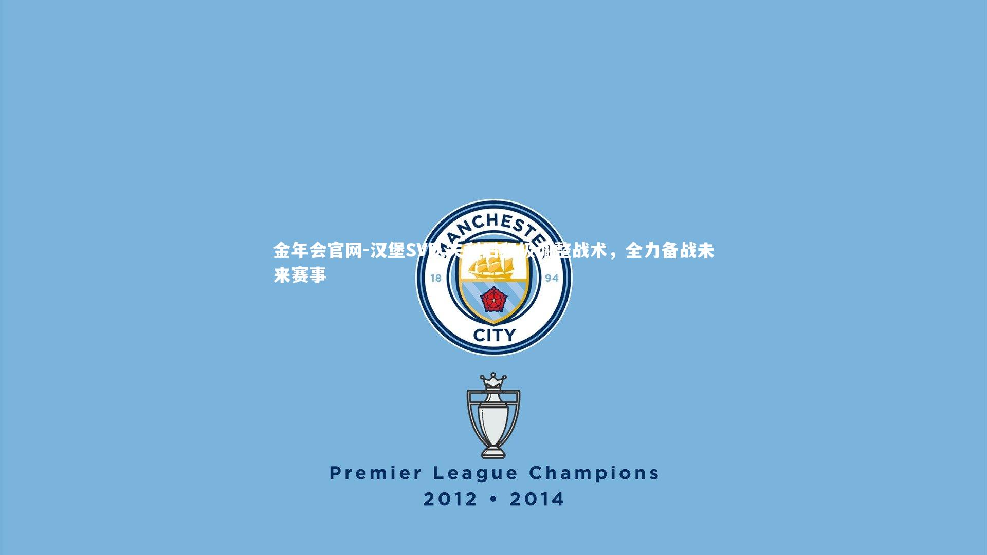 汉堡SV队失利后积极调整战术，全力备战未来赛事